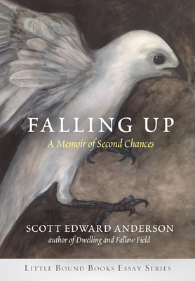 Falling Up: A Memoir of Second Chances by Scott Edward Anderson