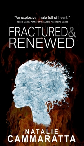 Fractured & renewed  by Natalie Cammaratta