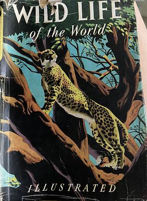 Wild Life of the World Illustrated by Maurice Burton