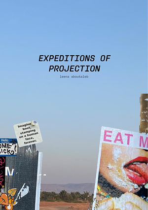 Expeditions of Projection by leena aboutaleb
