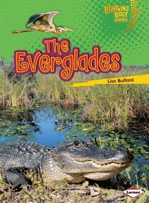 The Everglades by Lisa Bullard