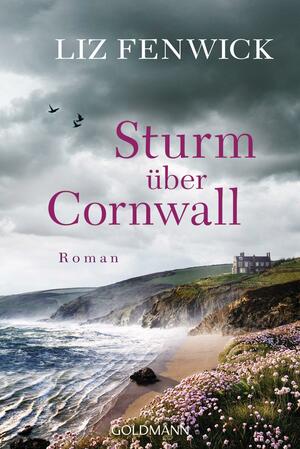 Sturm über Cornwall by Liz Fenwick
