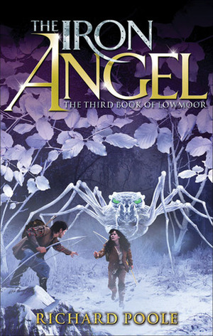 The Iron Angel by Richard Poole