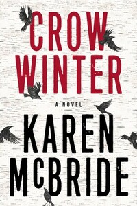 Crow Winter by Karen McBride