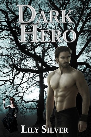 Dark Hero by Lily Silver