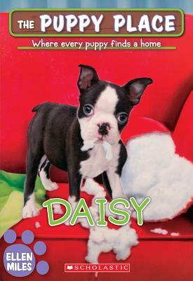Daisy (the Puppy Place #38), Volume 38 by Ellen Miles