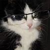 kafcats's profile picture
