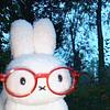 flipper_flips_pancakes's profile picture