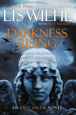 Darkness Rising by Lis Wiehl, Pete Nelson