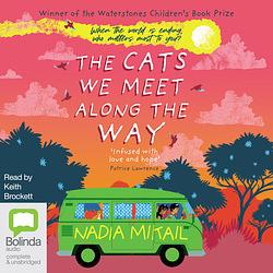 The Cats We Meet Along The Way by Nadia Mikail