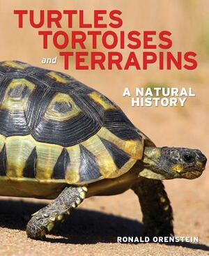 Turtles, Tortoises and Terrapins: A Natural History by Ronald Orenstein