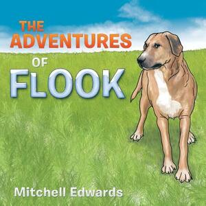 The Adventures of Flook by Mitchell Edwards