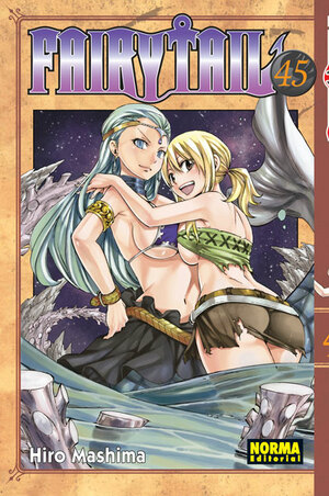 FAIRY TAIL 45 by Hiro Mashima