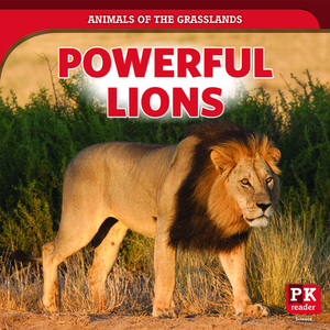 Powerful Lions by Theresa Emminizer