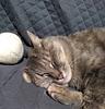 vb_marie's profile picture