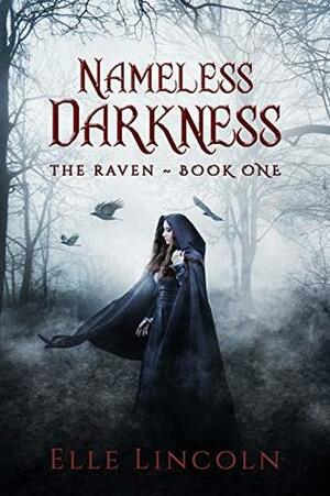 Nameless Darkness by Elle Lincoln