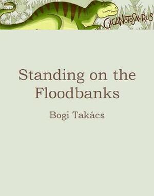 Standing on the Floodbanks by Bogi Takács