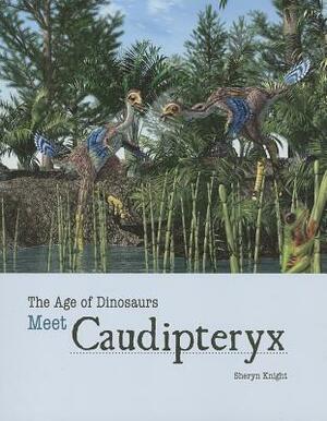 Meet Caudipteryx by Sheryn Knight