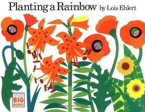 Planting a Rainbow (Harcourt Brace Big Books) by Ehlert Lois (1992-02-24) Paperback by Lois Ehlert, Lois Ehlert