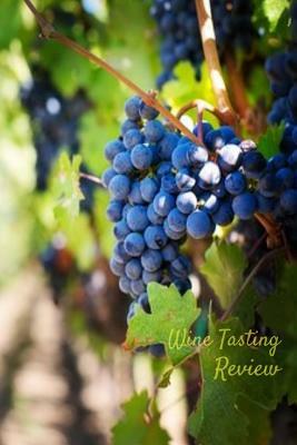 Wine Tasting Review: Your place to record your likes and dislikes of wine tasting by T. &. K. Publishing