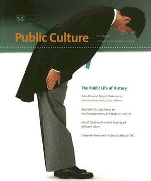 Public Culture by 