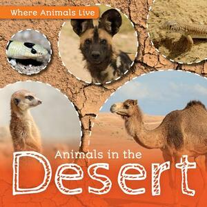 Animals in the Desert by John Wood