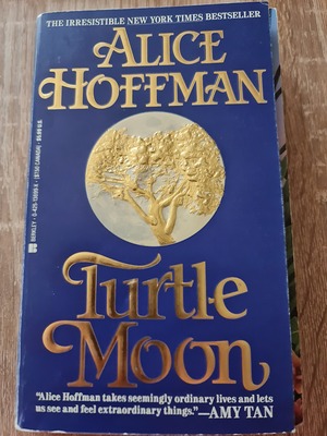 Turtle Moon by Alice Hoffman