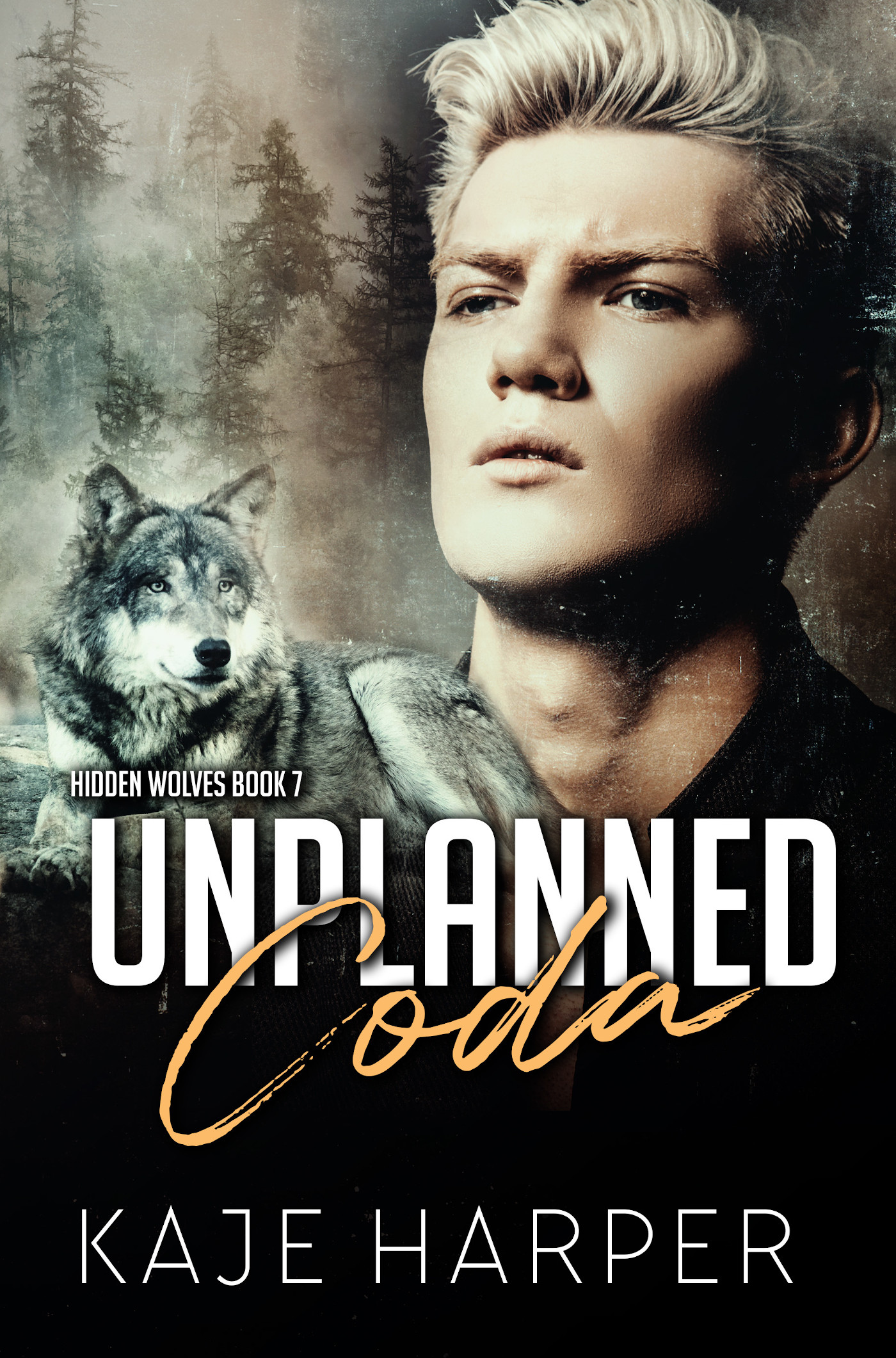 Unplanned Coda by Kaje Harper | The StoryGraph