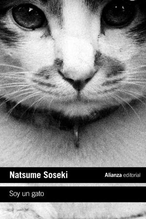 Soy un gato by Natsume Sōseki, Aiko Ito, Graeme Wilson
