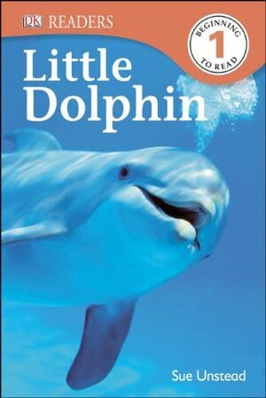 Little Dolphin by Sue Unstead