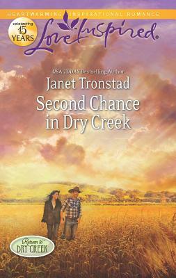 A Match Made In Dry Creek by Janet Tronstad