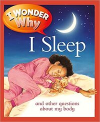 I Wonder Why I Sleep and Other Questions about My Body by Brigid Avison