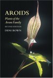 Aroids: Plants of the Arum Family by Deni Brown