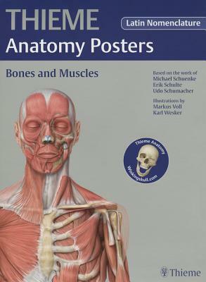 Thieme Anatomy Posters Bones and Muscles, Latin Nomeclature by Erik Schulte, Udo Schumacher, Michael Schuenke