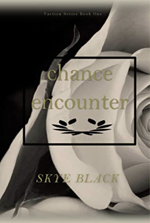 Chance Encounter by Skye Black