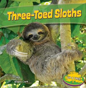 Three-Toed Sloths by Willow Clark