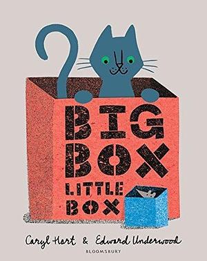 Big Box Little Box by Edward Underwood