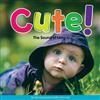 Cute!: The Sound of Long U by Cynthia Amoroso, Bob Noyed