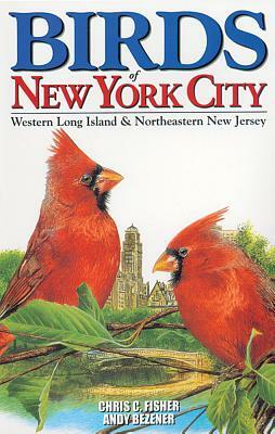 Birds of New York City: Including Long Island and Ne New Jersey by Andy Bezener, Chris Fisher