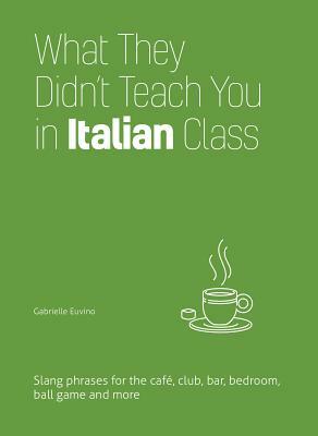 What They Didn't Teach You in Italian Class: Slang Phrases for the Cafe, Club, Bar, Bedroom, Ball Game and More by Gabrielle Euvino