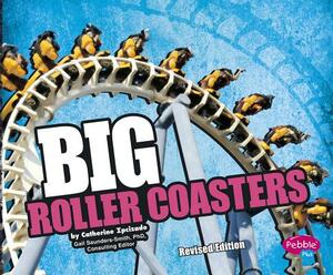 Big Roller Coasters by Catherine Ipcizade