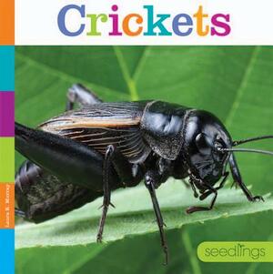 Crickets by Laura K. Murray