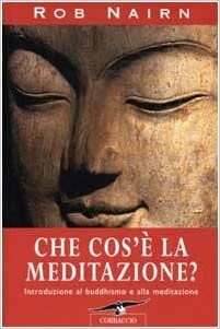 Che cos'è la meditazione?: introduzione al buddhismo e alla meditazione by Rob Nairn