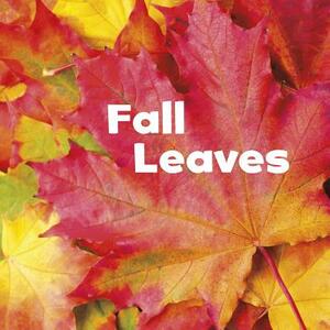 Fall Leaves by Erika L. Shores