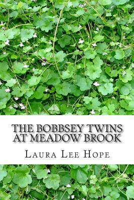 The Bobbsey Twins at Meadow Brook: (Laura Lee Hope Children's Classics Collection) by Laura Lee Hope