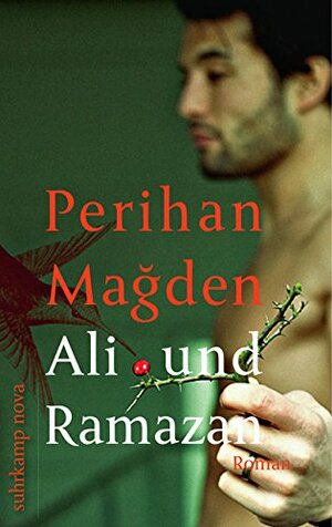 Ali und Ramazan by Perihan Mağden