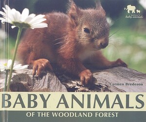 Baby Animals of the Woodland Forest by Carmen Bredeson