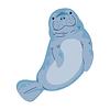 hauntedmanatee's profile picture