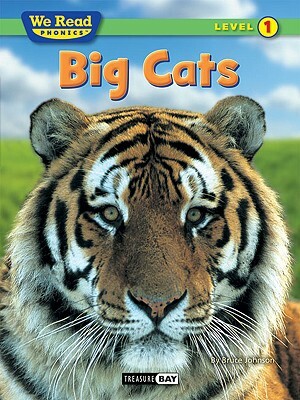 Big Cats by Bruce Johnson