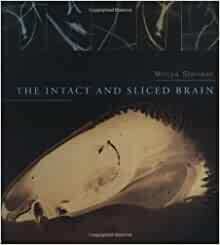 The Intact and Sliced Brain by Mircea Steriade